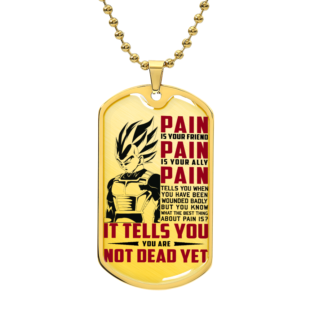 Dragon Ball - PAIN - You Are Not Dead Yet - Vegeta - Supper Saiyan Blue - Dragon Ball Dog Tag - Military Ball Chain - Luxury Dog Tag