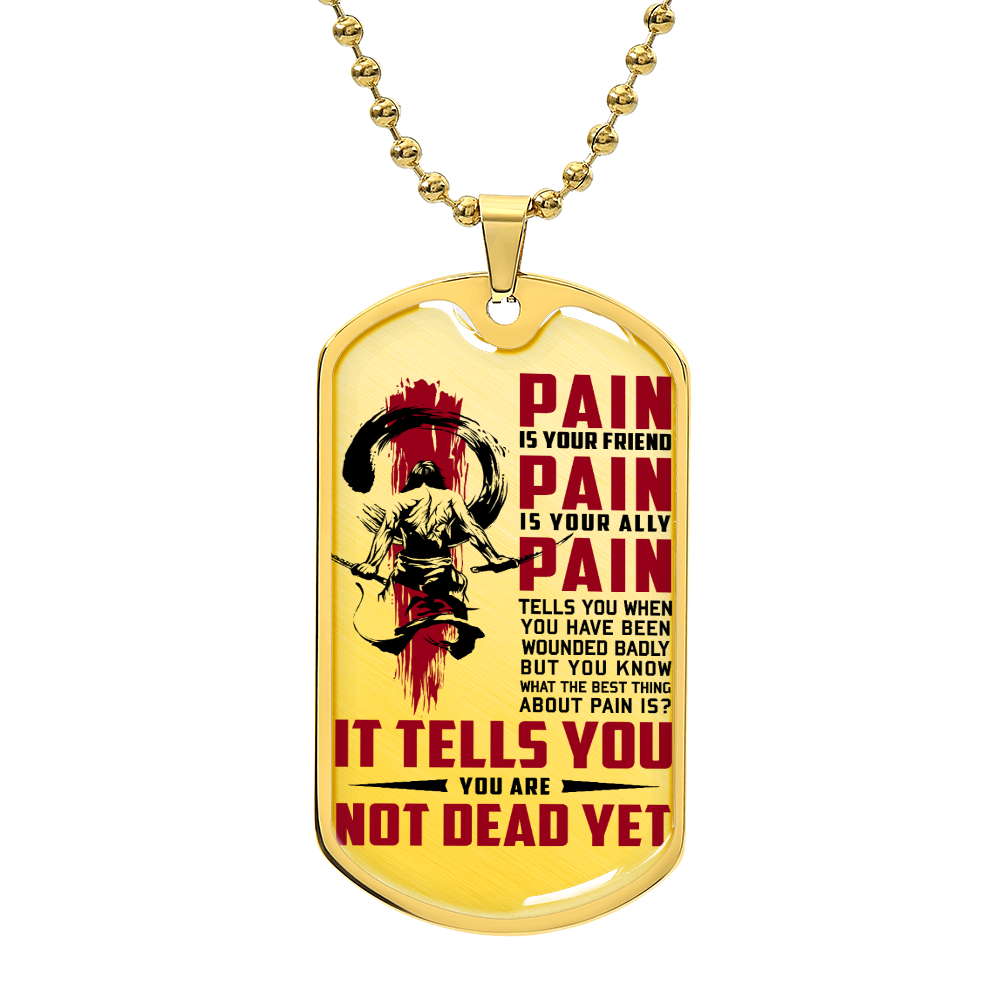 Samurai - PAIN - You Are Not Dead Yet - Bushido - Katana - Ronin - Samurai Dog Tag - Military Ball Chain - Luxury Dog Tag