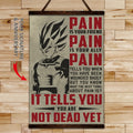 DR017 - PAIN - It Tells You - You Are Not Dead Yet  - Vegeta - Vertical Poster - Vertical Canvas - Dragon Ball Poster